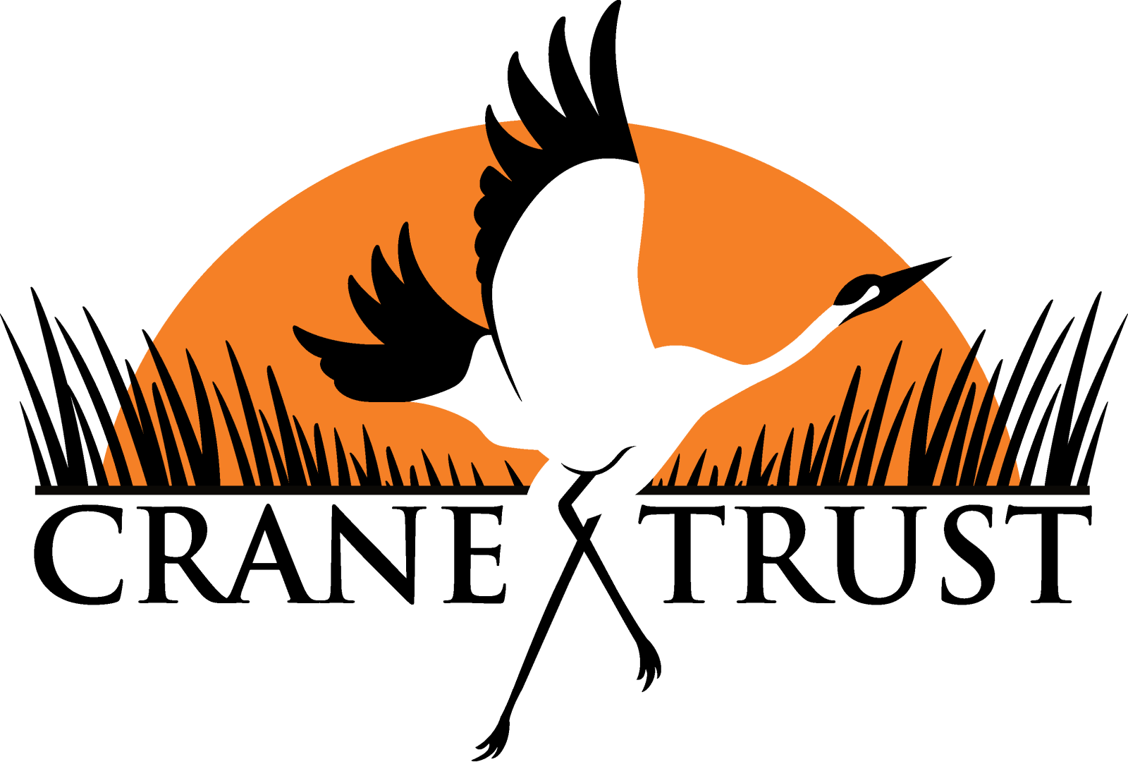 CT%20Logo%202022.png